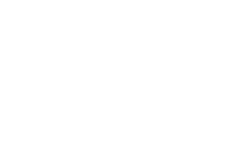 logo light